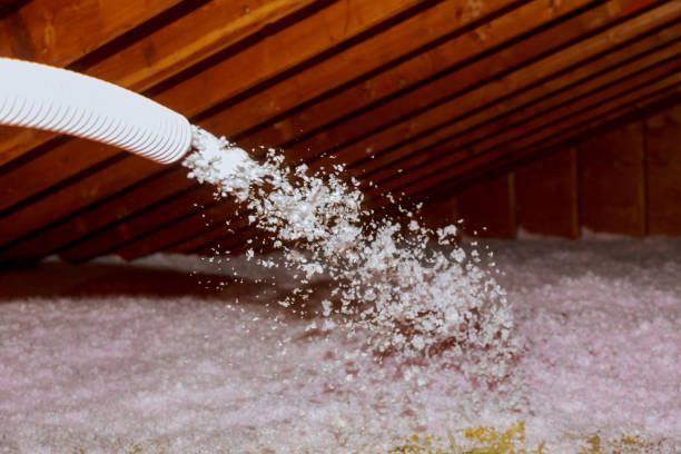 Best Residential Insulation Services  in Pembroke, NC