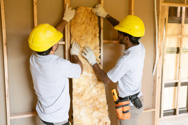 Best Garage Insulation Installation  in Pembroke, NC