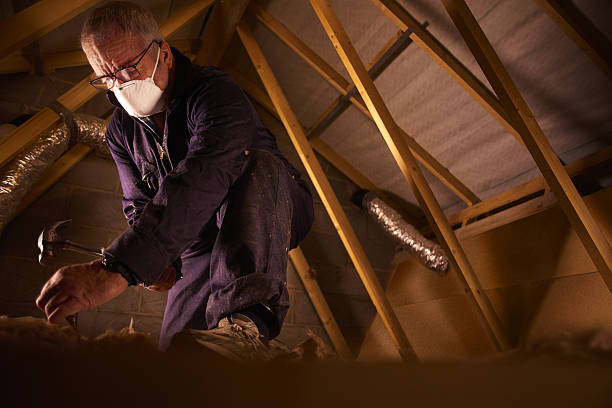 Best Insulation Repair Services  in Pembroke, NC